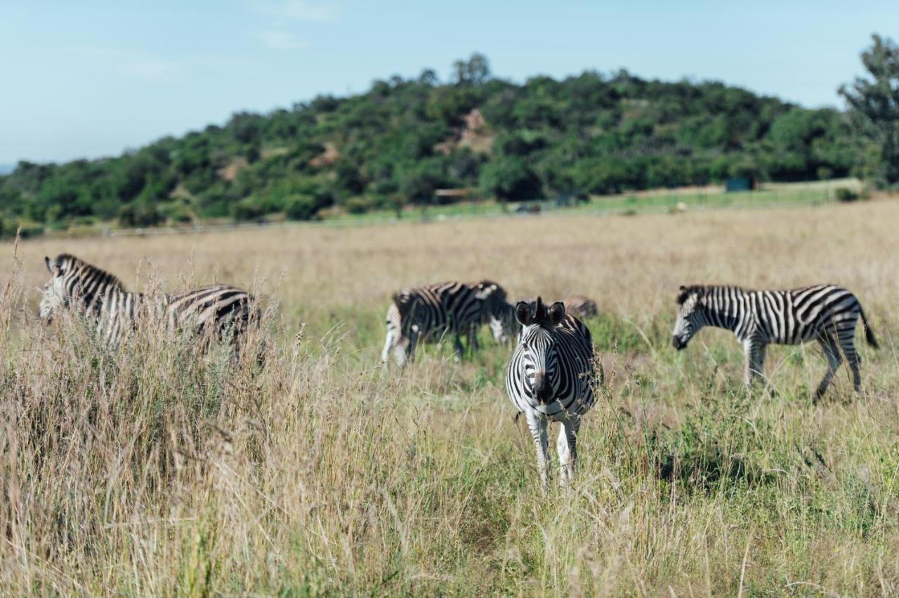 Thaba Eco Hotel Johannesburg Luaran gambar